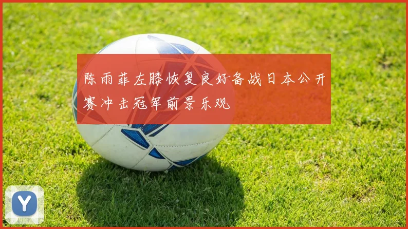 陈雨菲左膝恢复良好备战日本公开赛冲击冠军前景乐观