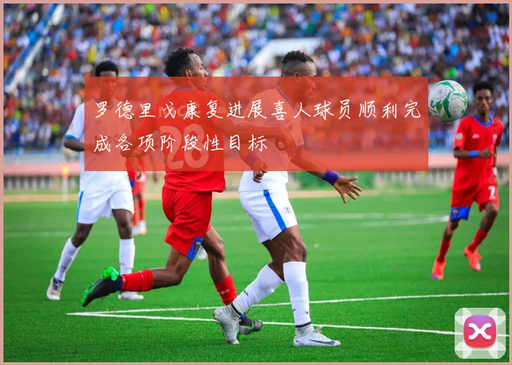 罗德里戈康复进展喜人球员顺利完成各项阶段性目标