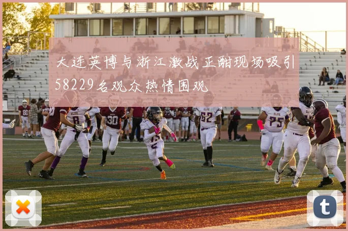 大连英博与浙江激战正酣现场吸引58229名观众热情围观