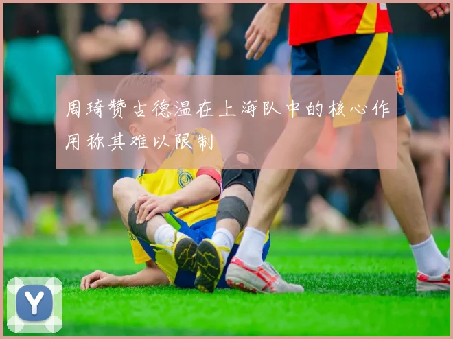 周琦赞古德温在上海队中的核心作用称其难以限制